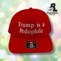 TIAP Red Trucker Cap | Embroidered Political Statement Cap